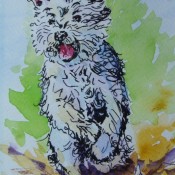 Here I Come!, (ID#214) 5 x 7 Ink & Watercolour
